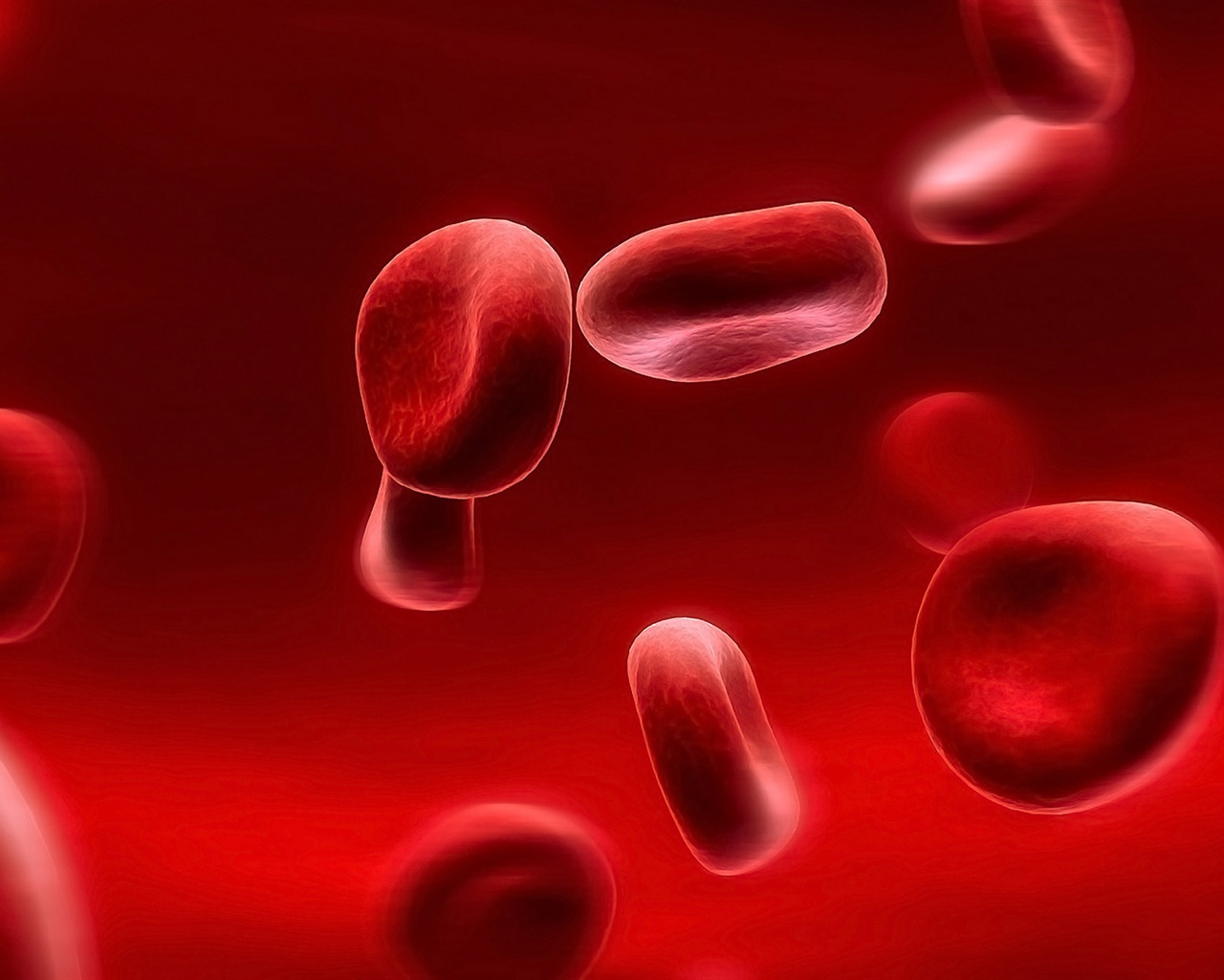 图3-1-5 小红细胞-临床医学-医学